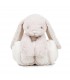 Rabbit Plushie with Blanket