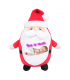 Personalized Santa Plushie
