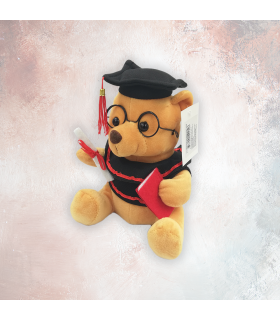 copy of Large Graduating Teddy Bear
